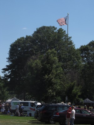 the flag flying over Concord's Picnic in the Park