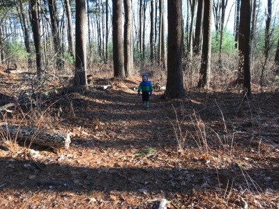 Lijah walking in the woods