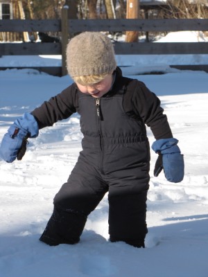 Harvey venturing into the snow in snowpants and mittens