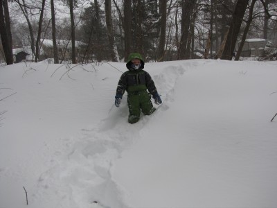 Harvey following my trail through deep snow