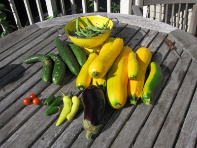 beans, zucchini, cucumbers, peppers, a couple cherry tomatoes, and an eggplant