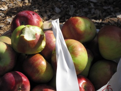a full half-peck bag of apples, with a half-eaten one on top