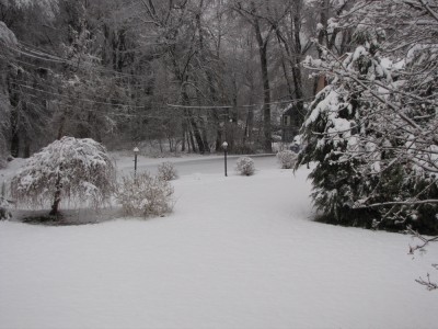 a snowy spring morning in our yard