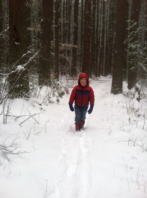 Harvey walking in the snowy woods