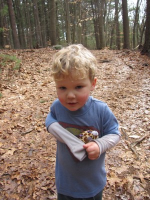 Lijah looking cute in a snowless forest-scape