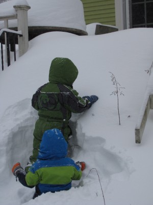 Harvey and Zion trying to make their way up the back steps, which are covered in three feet of snow