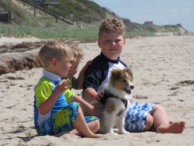 the boys sitting on the beach with puppy Tovi