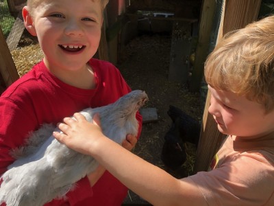 Zion holding one of the young hens as Lijah pets her