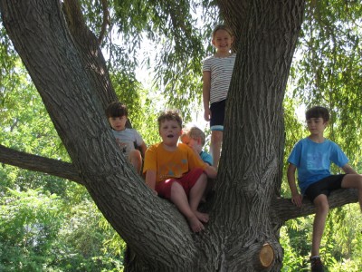 lots of kids in a tree with plenty of room for them all