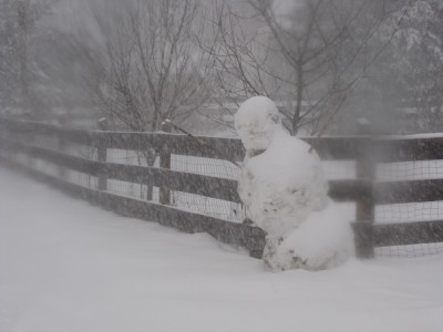 our snowman through the blizzard