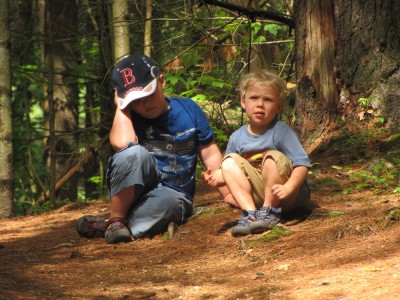 Harvey and Zion sitting in the woods looking bored