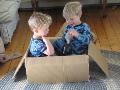 Zion and Lijah playing in a (small) box
