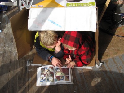 Harvey and Zion on the front porch, lying in a box sharing a comic book