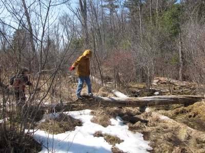 Bruce crossing a log above a boggy spot