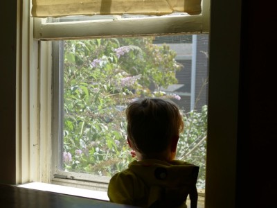 Lijah watching butterflies out the kitchen window