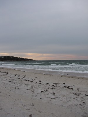 pinkish afternoon light over the beach