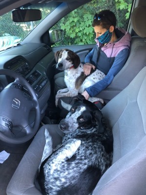 Blue in the driver's seat of the van, Scout in the passenger seat with Leah
