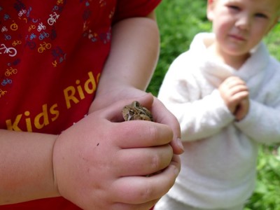 Harvey's hands holding a toad, Lijah looking on