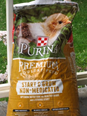 a bag of chick starter feed on our porch
