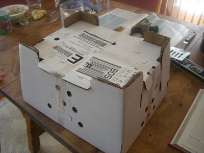 chicken mailing box