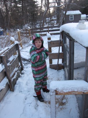 Harvey by the chicken coop in his PJs