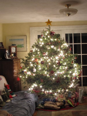 our wide christmas tree shining late on christmas eve