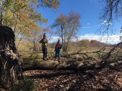 Zion and Elijah standing on a fallen tree on the cold riverside