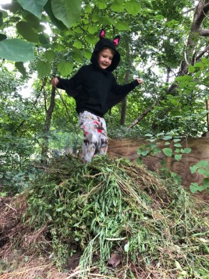 Lijah jumping on top of a big pile of weeds
