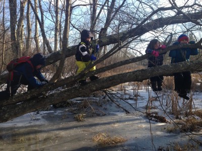 Harvey, Zion, Hendrick, and Eliza climbing a fallen tree above a frozen stream