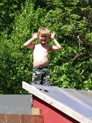 Elijah making a face from atop the chicken coop