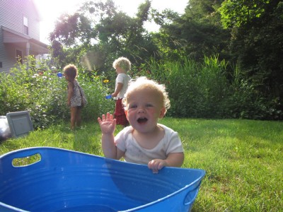 Zion at the water tub with Harvey and Nisia watering behind him