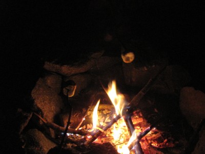 marshmallows over the fire in the dark