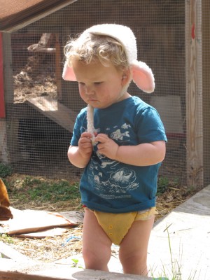 Lijah standing by the chicken coop in shirt, diaper, and sheep hat