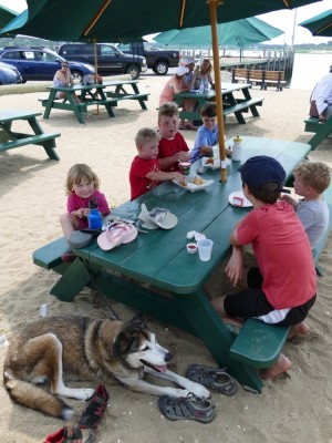 the kids sitting around a picnic table, Rascal lying in the shade under it