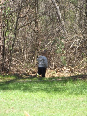 Lijah walking into the woods