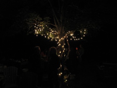 in the middle of the dark party, a tree lit up with Christmas lights