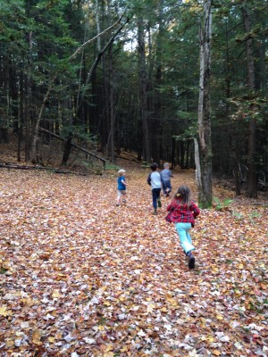 the boys and friends running into the fall woods