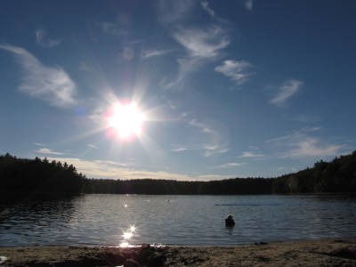 Harvey in the nearly empty waters of Walden pond