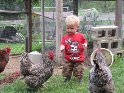 Lijah amongst the chickens by the chicken coop, in a 'bad to the bone' t-shirt