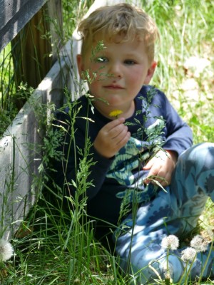 Lijah sitting against the fence holding a dandilion