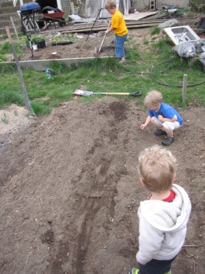 the boys helping in the garden