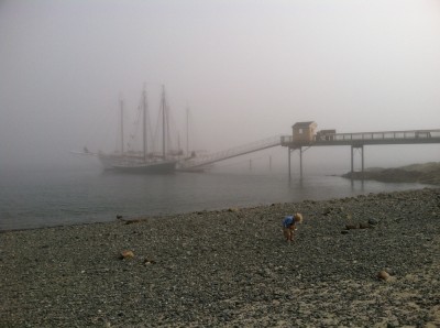 Zion picking up rocks on the foggy beach, docked schooners in the background