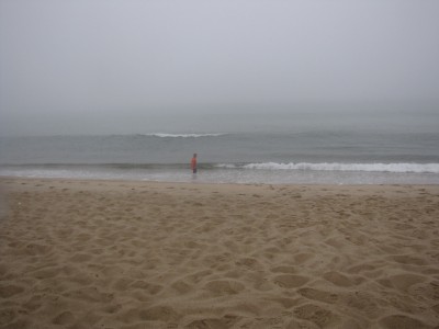 Harvey playing in the ocean waves on the foggy beach