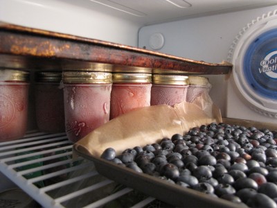 blueberries in the freezer