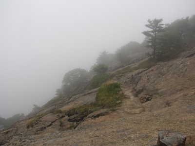 a foggy trail along the side of the mountain