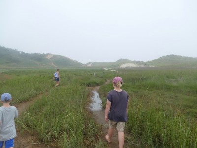 Leah and the boys hiking among the marsh grass at Great Island
