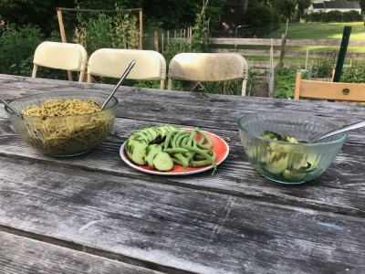 pesto pasta, sliced cucumber, and cooked zucchini on our picnic table