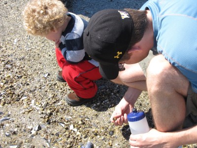 Harvey and Andrew looking for shells