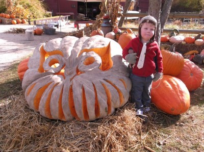 Harvey standing by an enormous jack-o-lantern