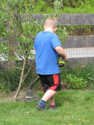 Harvey using the string trimmer